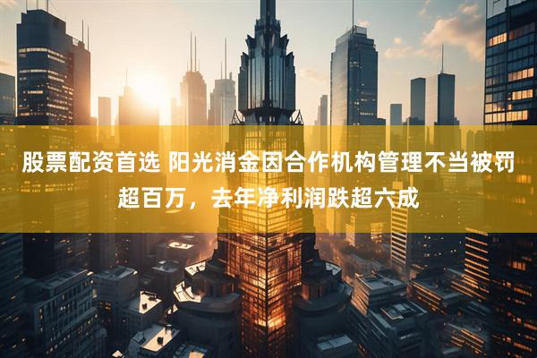 股票配资首选 阳光消金因合作机构管理不当被罚超百万，去年净利润跌超六成