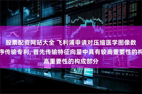股票配资网站大全 飞利浦申请对压缩医学图像数据的顺序传输专利, 首先传输特征向量中具有较高重要性的构成部分