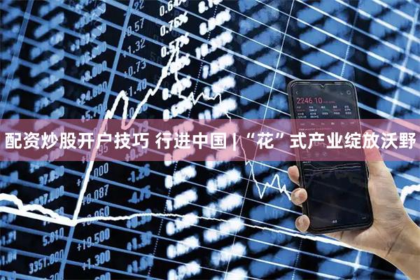 配资炒股开户技巧 行进中国 | “花”式产业绽放沃野